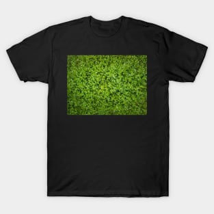 green pasture texture T-Shirt